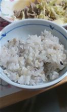 1月15日 やずや