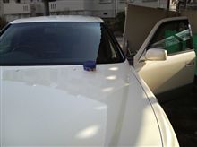 洗車始め