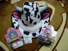 届いちゃった～♪