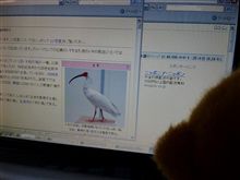 流石は大手通販・・・・・