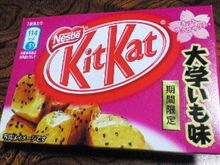 キット、サクラサクよ