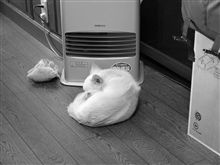 今日のその他の出来事