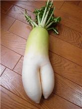 Oh!