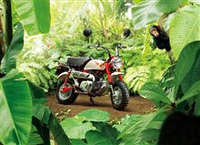 ホンダモンキーＦＭＣ