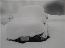 きたぁぁぁぁぁ～～～！！！