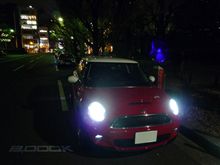 蒼い目のミニさん