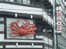 久々に見ました