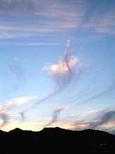 お詫びと刺すの相談(^_^)/