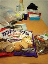 作業お休み(ノД`)