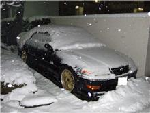 大雪でしたね゚。°。°。°。°。 ヽ( ̄▽ ̄(。-_-。 )ゝ キレイナユキダネ♪ 大雪でしたね゚。°。°。°。°。 ヽ( ̄▽ ̄(。-_-。 )ゝ キレイナユキダネ♪