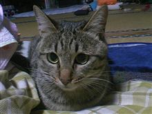 まんまるの目(//▽//）