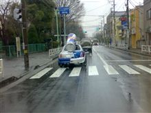 見たよ！！