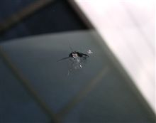 飛び石攻撃。。。