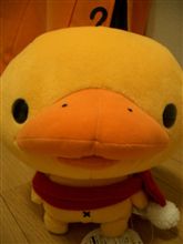 本日ゲットしたもの…