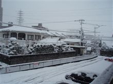 雪。。。