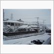 雪。。。
