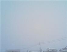 １日違えば…（＞＜）