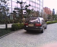 都内某所経由で実家に来た
