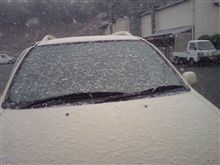 寒すぎ(((゜д゜;)))
