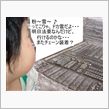 なんじゃこりゃ？（雪、パンク ...