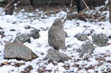朝から小雪が舞っている。