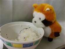 のぉおおおおおぉー!!
