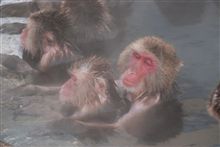 良い湯だべ～♪