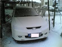 今朝のおどろき(○_○)