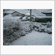 積雪
