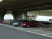 この方とフラリンコしてみました。 この方とフラリンコしてみました。