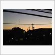 ２６日おぱや～