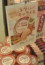偽物ハッケン