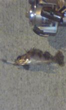 だんだん小さく(&gt;_&lt;)