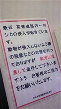 新しい携帯 新しい携帯