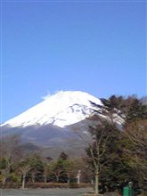 申し込みました