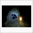 大雪の出来事