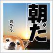 降ったみたいですね・・・