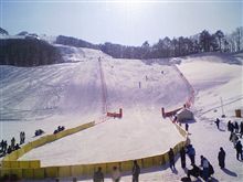 シーズン真っ只中！