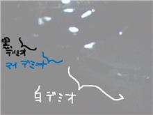 だんご３兄弟