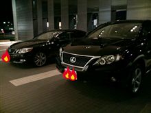 闇夜のカラス