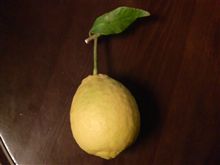 めまい めまい