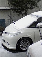 初冠雪