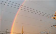 もう1月も終わりですね もう1月も終わりですね