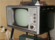 新型テレビが欲しい野良