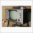 新型テレビが欲しい野良