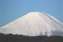 晴れましたね