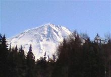 ｽﾉﾎﾞで富士山を滑ってきました