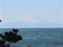 花摘み 花摘み