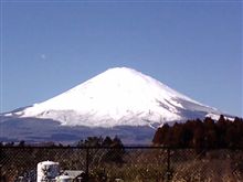 今日はお出かけでした～
