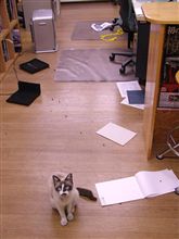 お店を荒らされた！